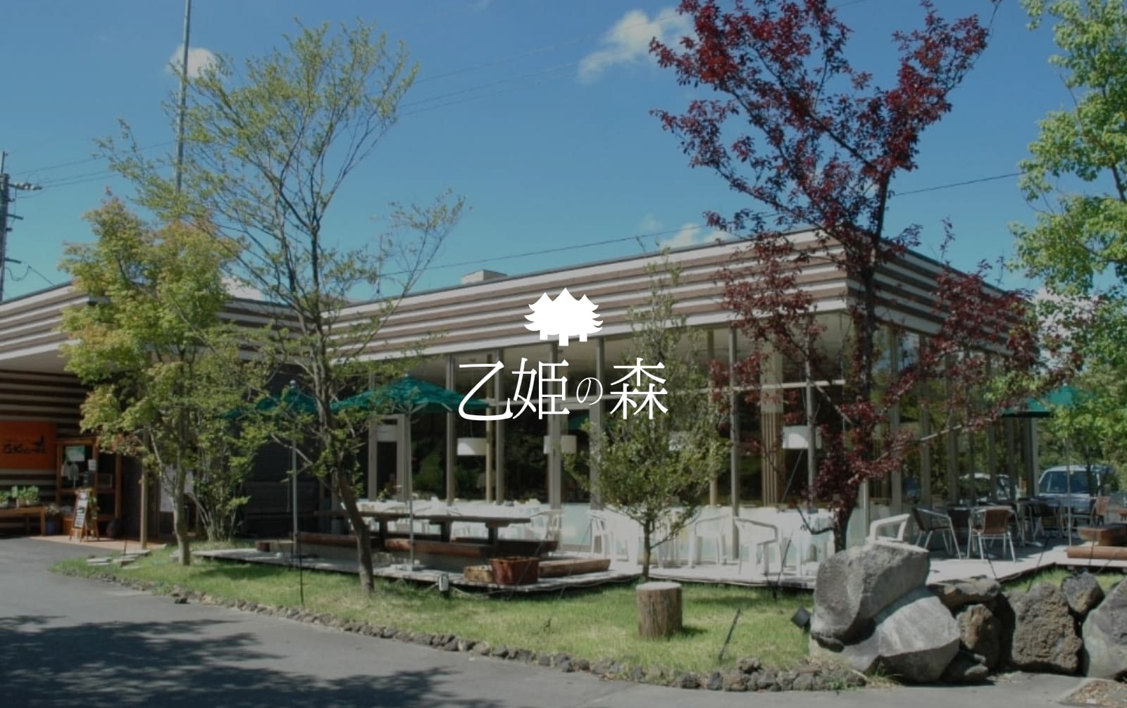 自然食バイキング