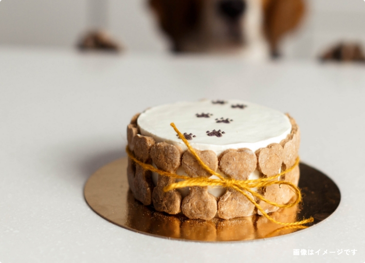 愛犬の誕生日ケーキ