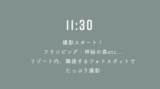11:30 撮影スタート!フランピング・神秘の森etc...リゾート内、隣接するフォトスポットでたっぷり撮影